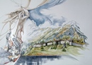FORTE BRAMAFAM acquerello 50 x 70