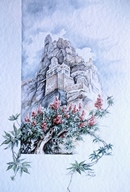 Yemen IL RICINO acquerello 35 x 50